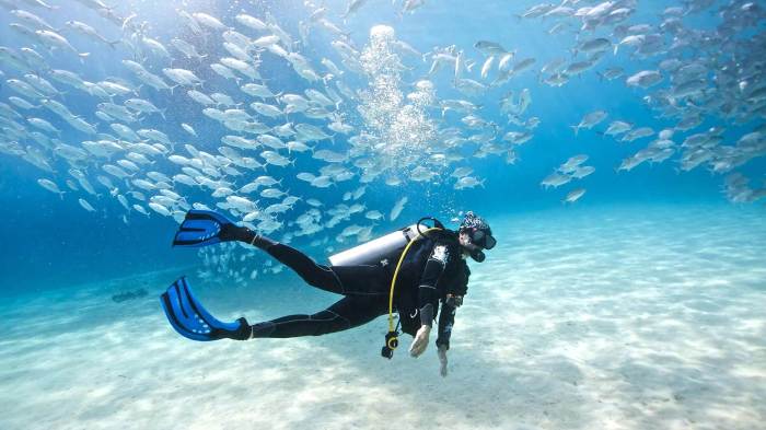 Scuba diving locations